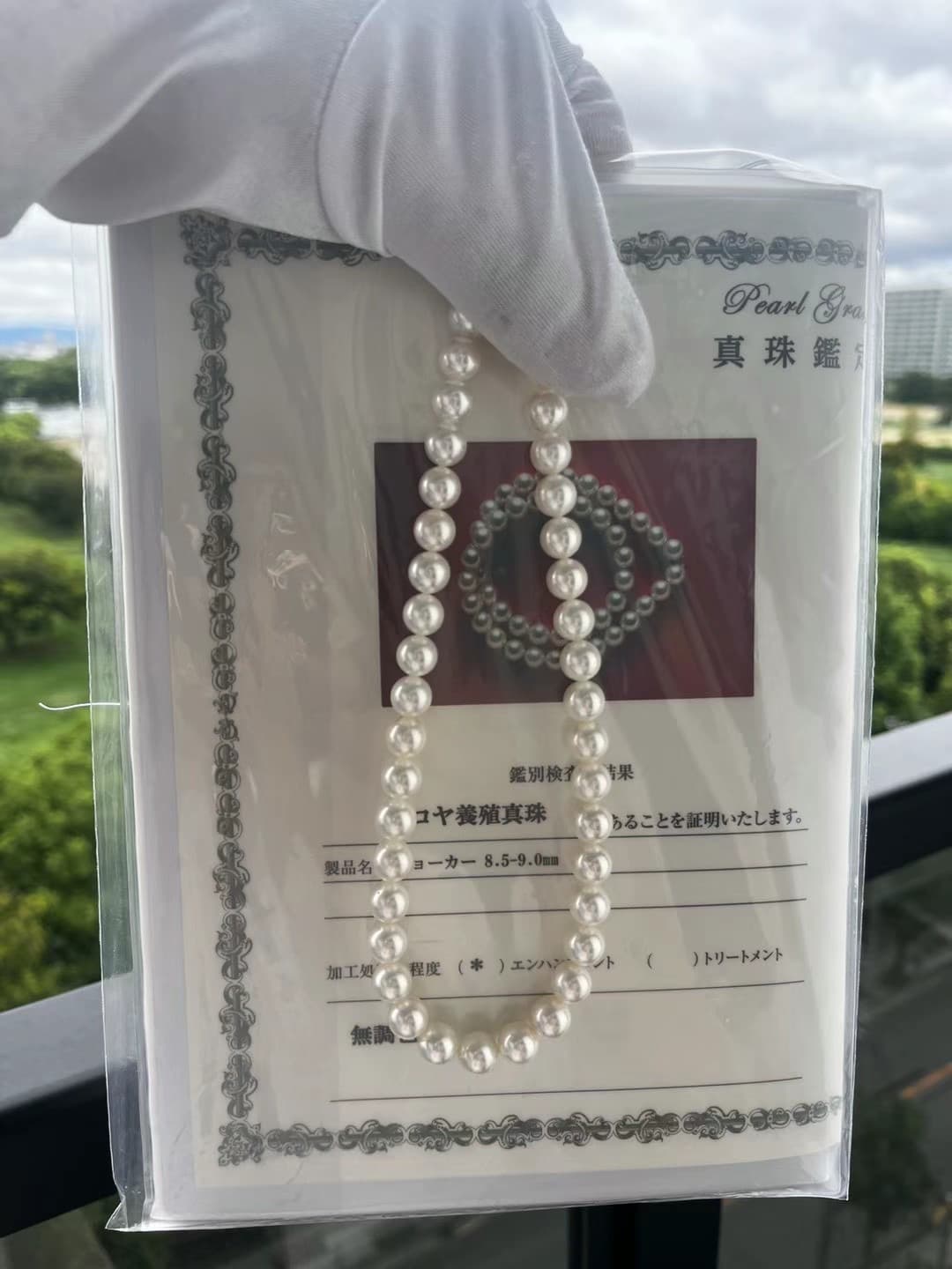 厳選されたアコヤ真珠